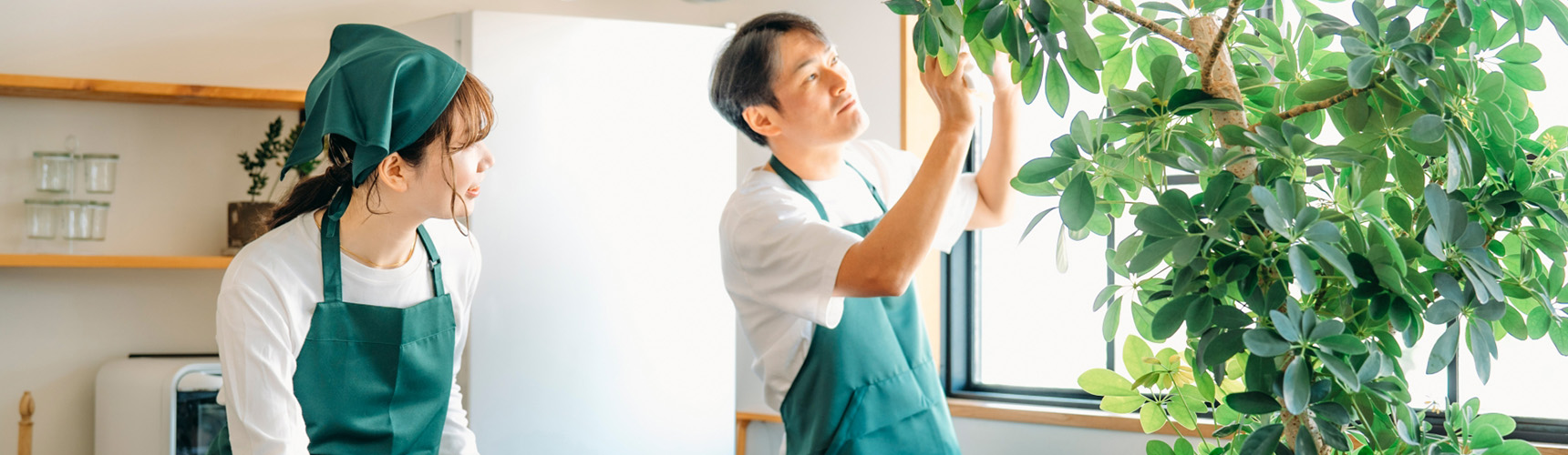 店舗案内